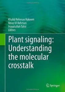 Plant signaling: Understanding the molecular crosstalk