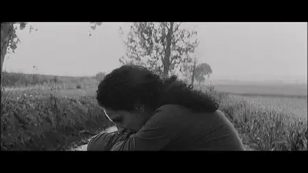 Dream and Silence / Sueño y silencio (2012) [Re-UP]