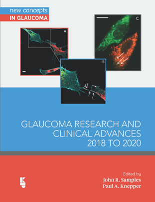 Glaucoma Research and Clinical Advances, 2018 to 2020