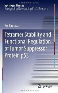 Tetramer Stability and Functional Regulation of Tumor Suppressor Protein p53