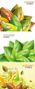 Autumn & Summer Leaves Vector