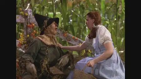 The Wizard of Oz - 70th Anniversary Ultimate Collector's Edition (1939) [RE-UP]