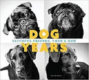 Dog Years Faithful Friends, Then & Now 
