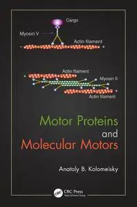 Motor Proteins and Molecular Motors