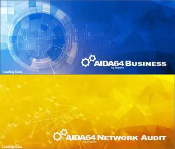 AIDA64 Business / Network Audit 6.90.6500 Final Multilingual