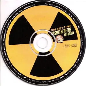 The Smithereens - From Jersey It Came! The Smithereens Anthology (2004)