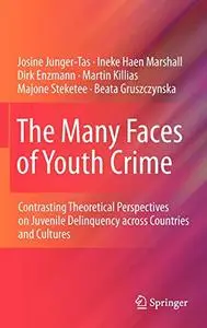 The Many Faces of Youth Crime