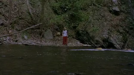 Last Days (2005)