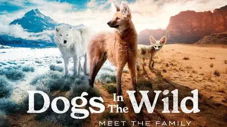 BBC - Dogs in the Wild: Meet the Family (2023)