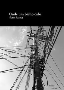 «Onde um bicho cabe» by Nuno Ramos