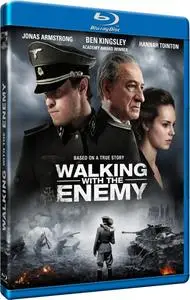 Walking with the Enemy (2013)