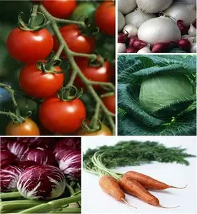 Harvest Images