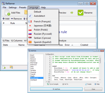 ReNamer Pro 6.1 Portable