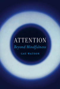 Attention : Beyond Mindfulness