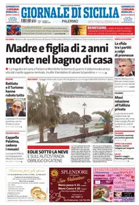 GDS (Giornale Di Sicilia) - Ed.Palermo (08.02.2013)