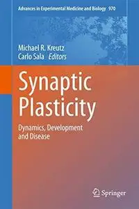 Synaptic Plasticity: Dynamics, Development and Disease