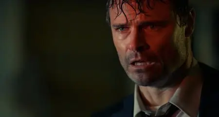 Mister Vendetta (2010)