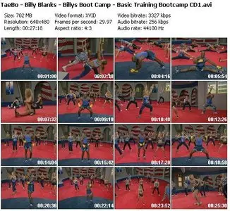 TaeBo - Billy Blanks - Billys Boot Camp - Basic Training Bootcamp