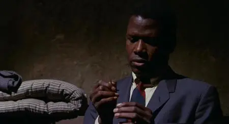 In the Heat of the Night (1967)