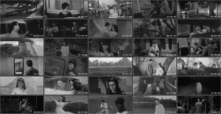 An Early Rain (1966)