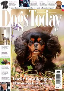 Dogs Today UK - June 2024