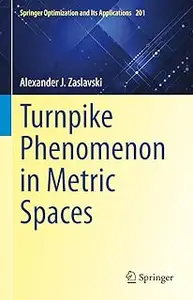 Turnpike Phenomenon in Metric Spaces