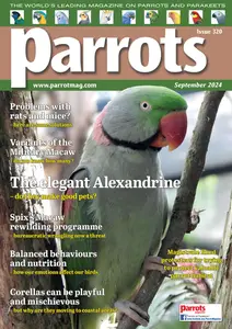 Parrots - September 2024