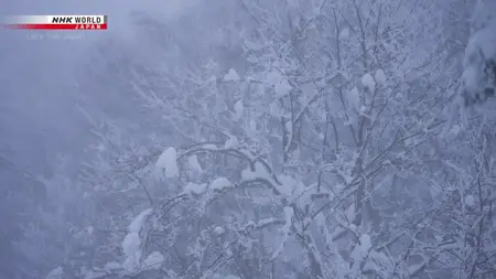 NHK Let's Trek Japan - Zao: Explore the Majestic Ice Scenery in the Snowiest Land (2025)