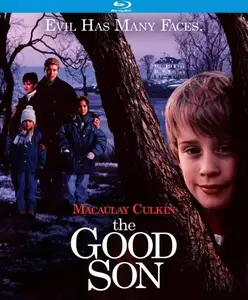 The Good Son (1993)