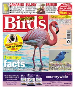 Cage & Aviary Birds - 4 June 2025