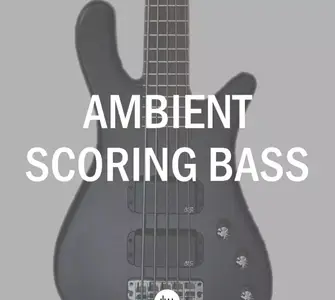 Simple Samples Audio Ambient Scoring Bass v1.1.0 KONTAKT