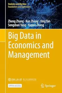 Big Data in Economics and Management
