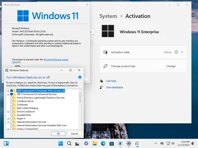 Windows 11 Enterprise 24H2 Build 26100.2314 (No TPM Required) Preactivated Multilingual November 2024