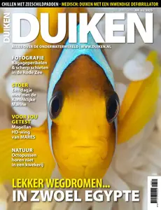 Duiken - Februari 2025