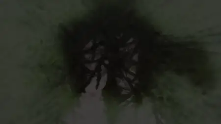 Ookami to Koushinryou Merchant Meets the Wise Wolf - 13 - Supper of Three and Afternoon of Two (1080p AV1 10Bit OPUS