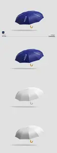 Umbrella Mockup ZY5N2PS
