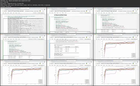 Deep Learning: Model Optimization and Tuning