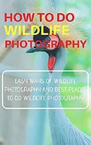 How to do Wildlife Photography: Easy Ways of Wildlife Photography And Best Places to do Wildlife Photography
