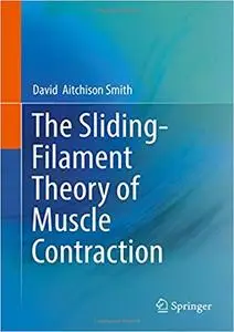 The Sliding-Filament Theory of Muscle Contraction