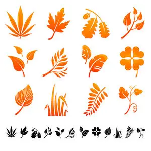 leaves Vector