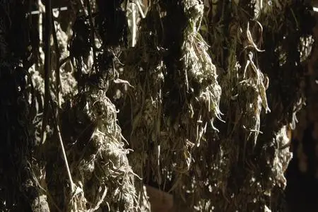 Murder Mountain S01E03