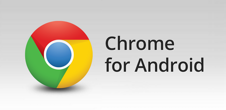 Google Chrome v.28.0.1500.94 /29.0.1547.23 Beta