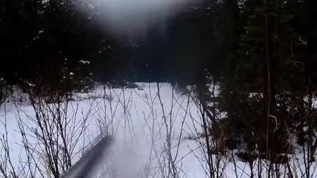 Alaskan Bush People S07E08