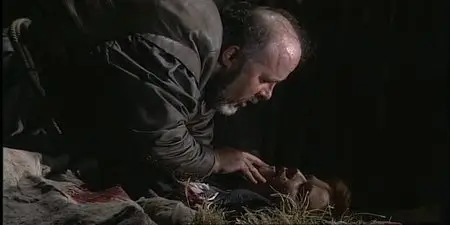 Verdi : Rigoletto (video 2001)