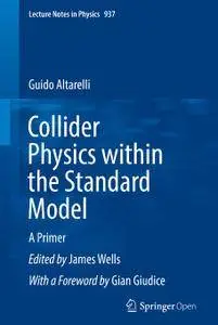 Collider Physics within the Standard Model: A Primer