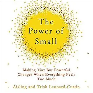 The Power of Small: Making Tiny but Powerful Changes When Everything Feels Too Much [Audiobook]