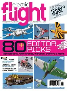 Electric Flight - January 2016