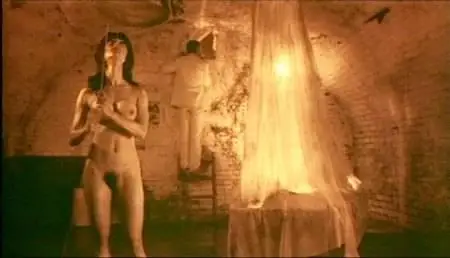 Lars von Trier-Forbrydelsens element (1984)