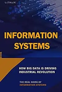 Information Systems: How Application Of Big Data Drives Industries. The Real Work Of Information Systems