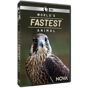 PBS - NOVA: World's Fastest Animal (2018)